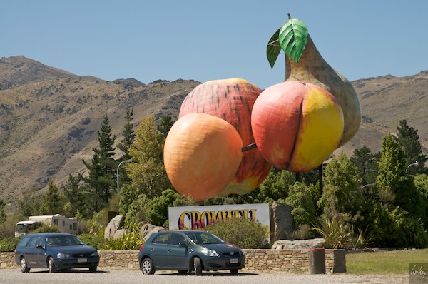 New Zealand 09 10  179